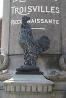 coq